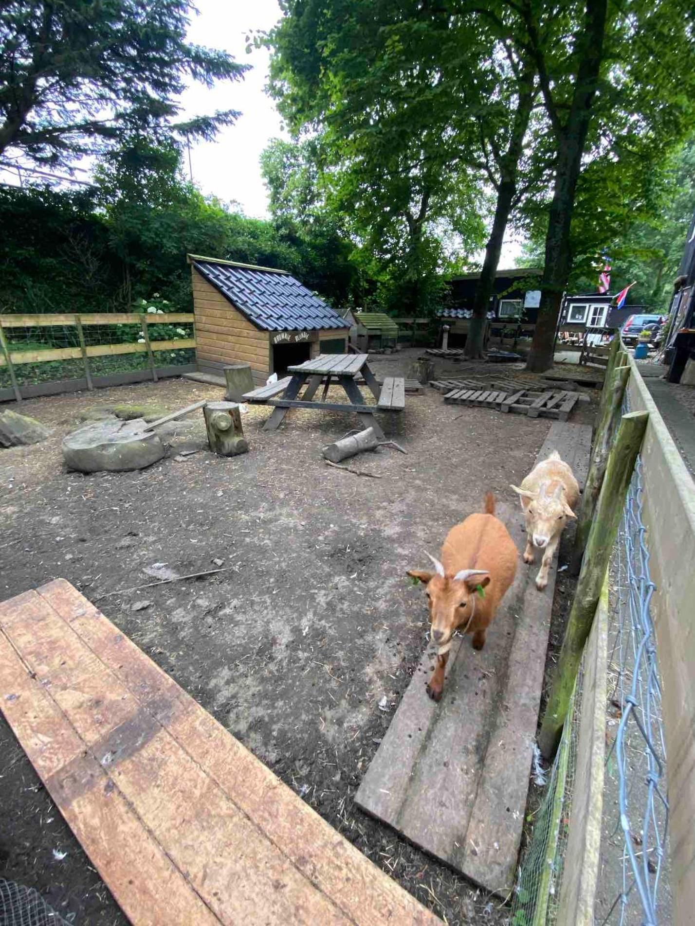 La Luna - Desi Vakantieboerderij Heerhugowaard